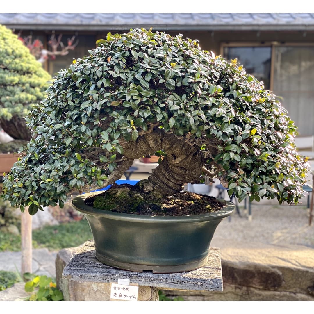 商品の画像 3