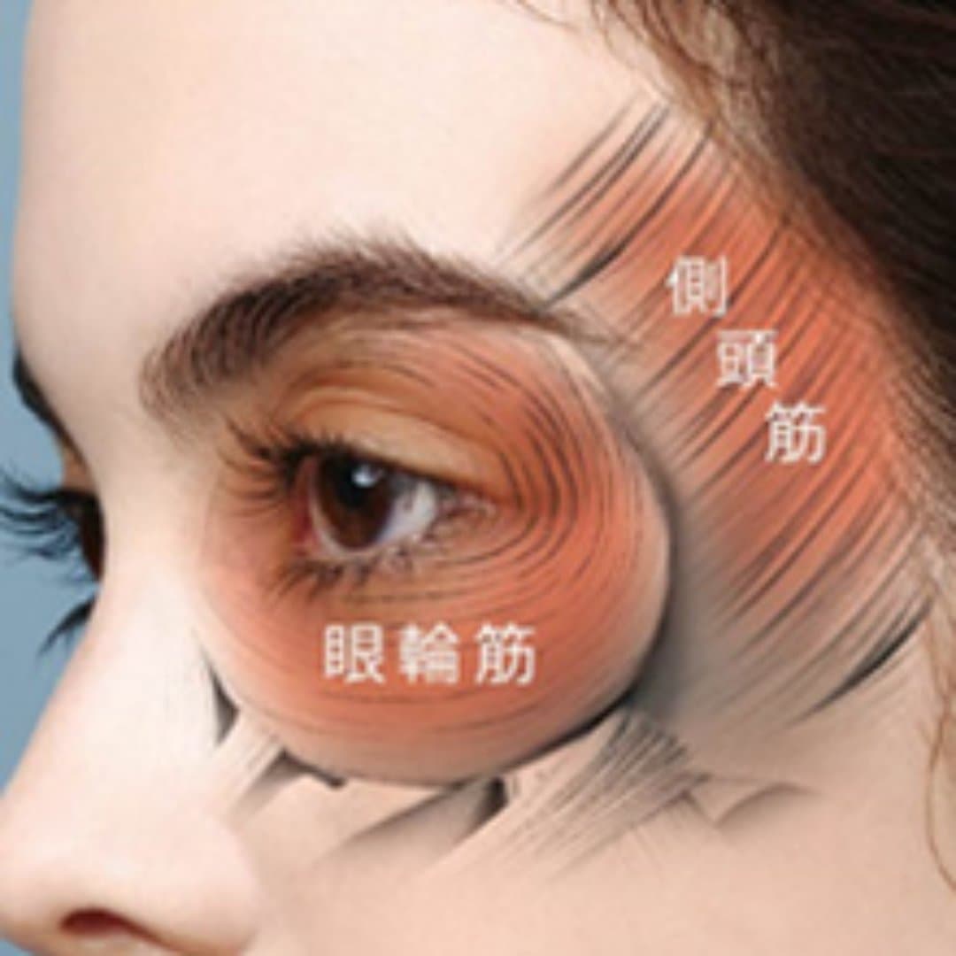 商品の画像 5