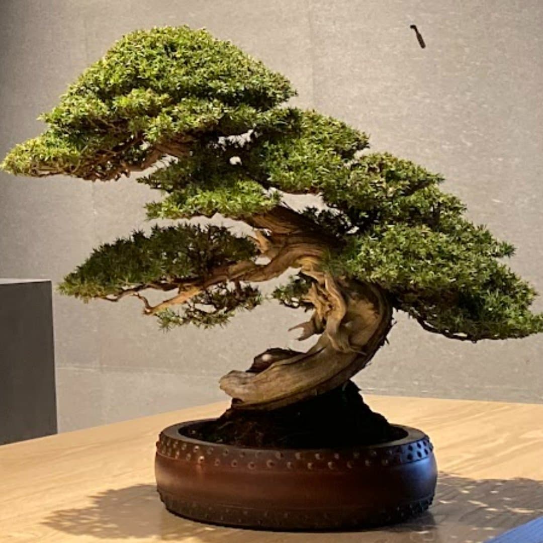 商品の画像 2