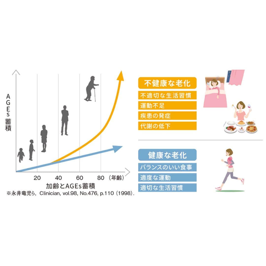 商品の画像 5