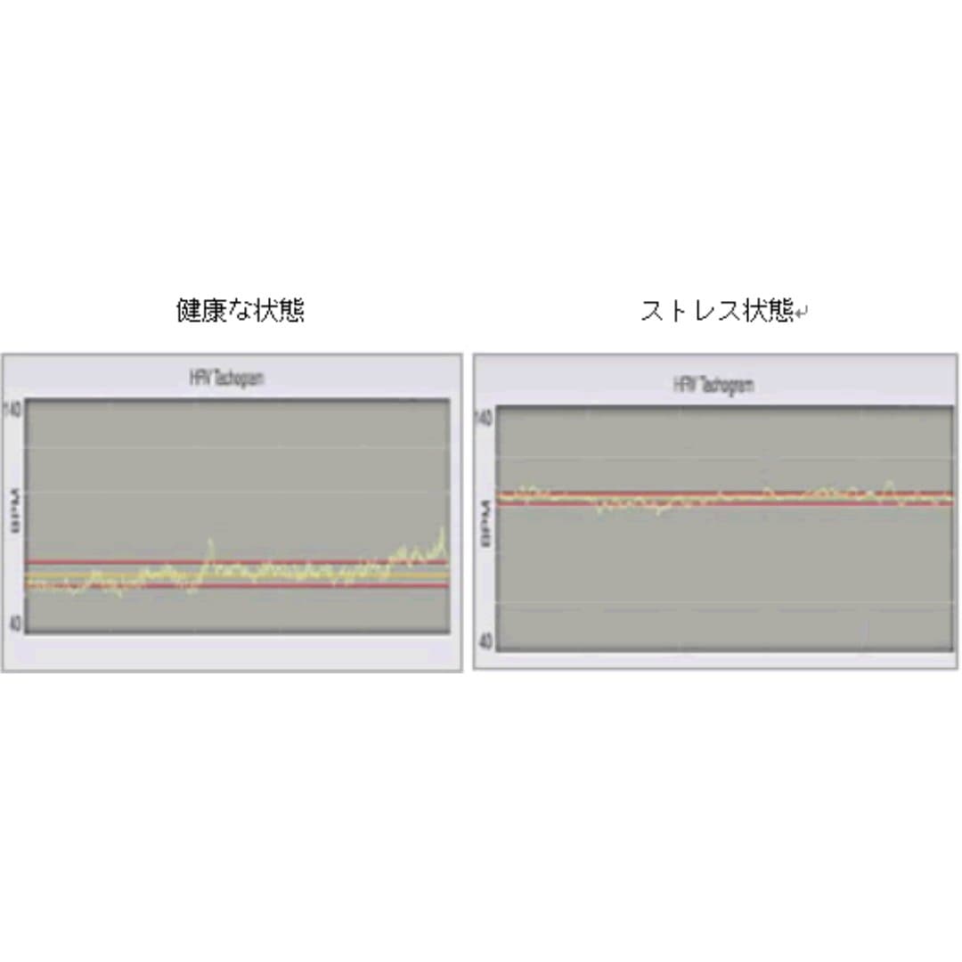 商品の画像 3
