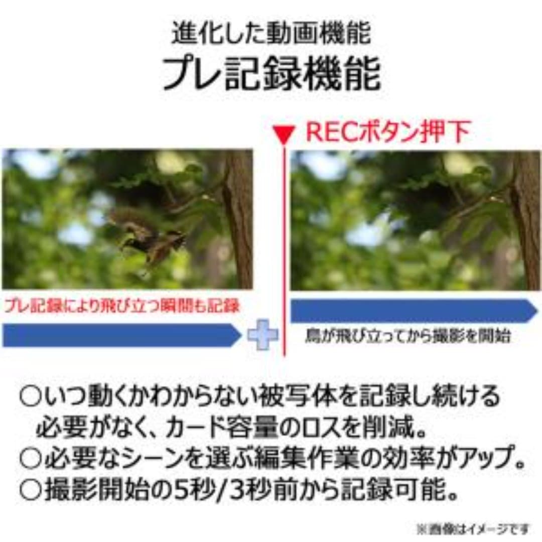 商品の画像 7