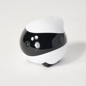 トレードワークス/TRADE WORKS EBO SE(イーボSE) PEB000104400 (S02) 家族を見守る自走式ロボットペット