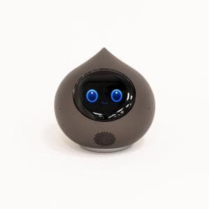 ミクシィ/MIXI 会話AIロボットRomi(ロミィ) Lacatan(ラカタン)モデル ムーングレー