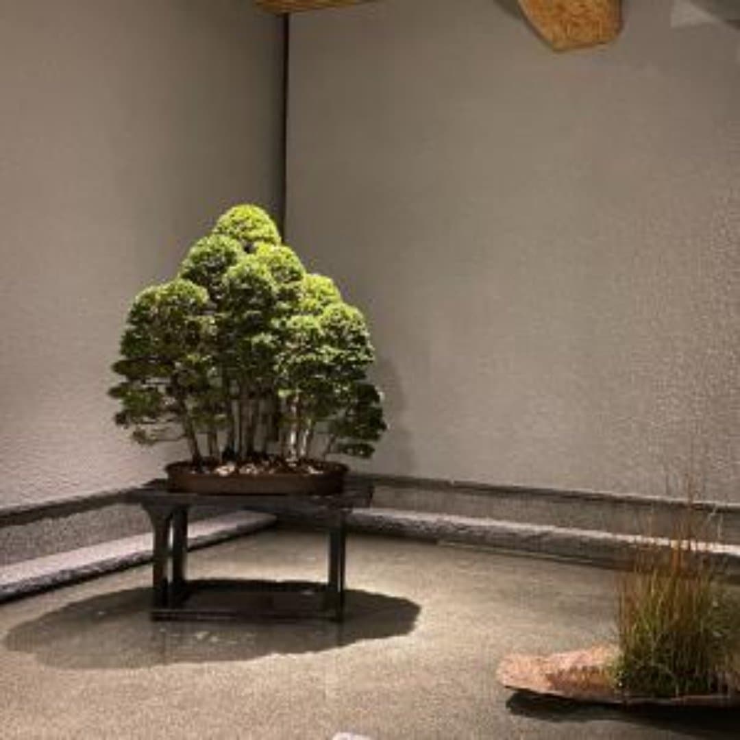 商品の画像 7