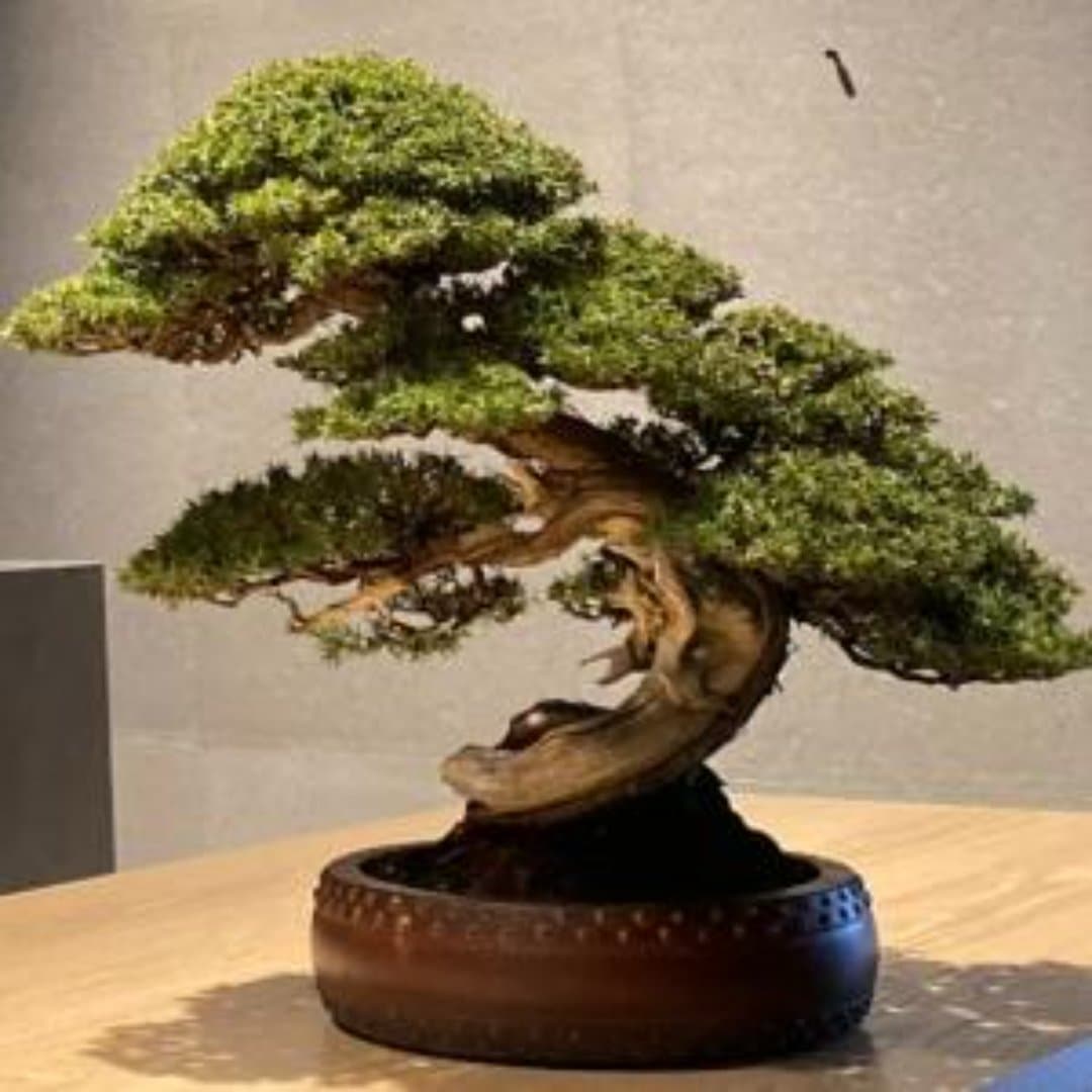商品の画像 10