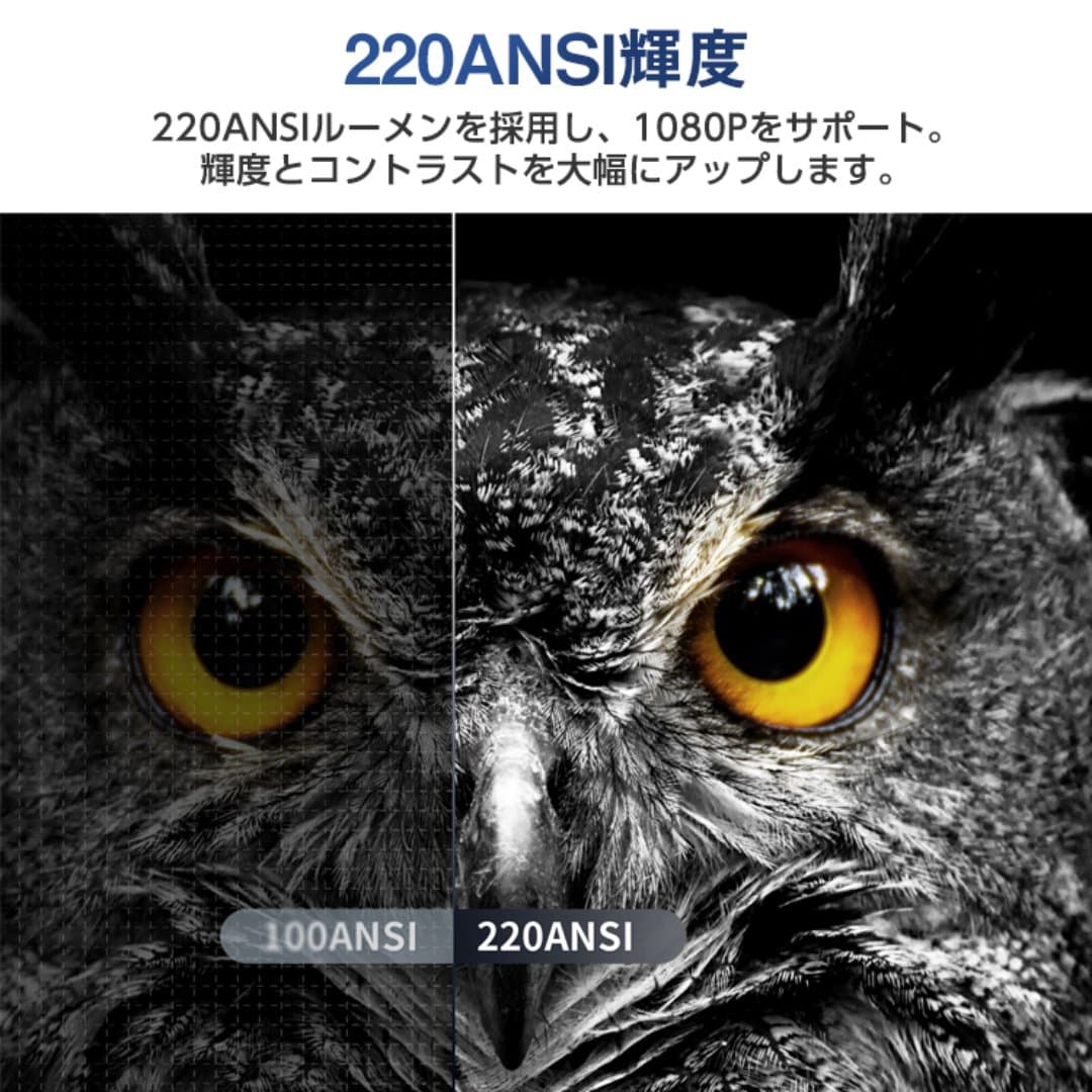 商品の画像 8